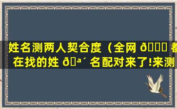 姓名测两人契合度（全网 🍁 都在找的姓 🪴 名配对来了!来测测你们的契合度吧!）